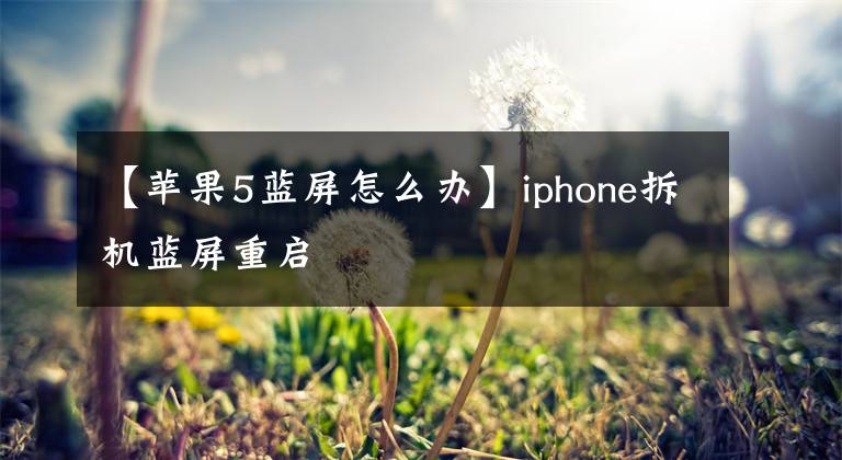 【蘋果5藍(lán)屏怎么辦】iphone拆機(jī)藍(lán)屏重啟