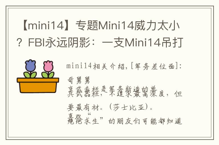 【mini14】專題Mini14威力太小？FBI永遠(yuǎn)陰影：一支Mini14吊打8名探員