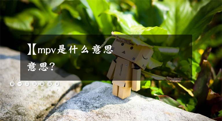 【mpv是什么意思】mpv是什么意思？