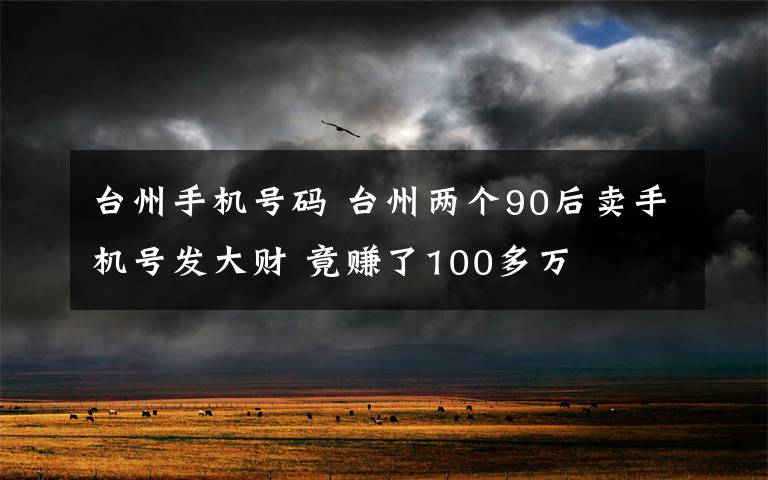 臺(tái)州手機(jī)號(hào)碼 臺(tái)州兩個(gè)90后賣(mài)手機(jī)號(hào)發(fā)大財(cái) 竟賺了100多萬(wàn)