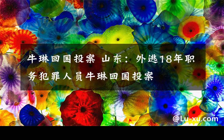 牛琳回國投案 山東：外逃18年職務(wù)犯罪人員牛琳回國投案