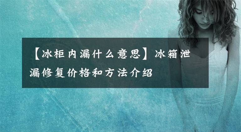 【冰柜內(nèi)漏什么意思】冰箱泄漏修復(fù)價(jià)格和方法介紹