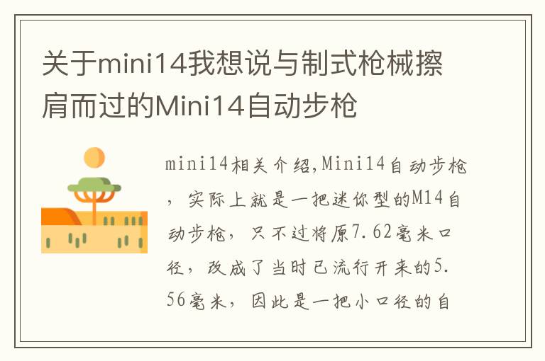 關(guān)于mini14我想說(shuō)與制式槍械擦肩而過(guò)的Mini14自動(dòng)步槍