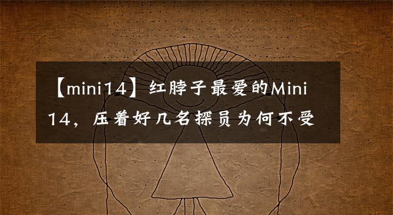 【mini14】紅脖子最愛的Mini14，壓著好幾名探員為何不受美軍待見？