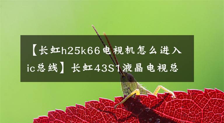 【長虹h25k66電視機(jī)怎么進(jìn)入ic總線】長虹43S1液晶電視總線方法