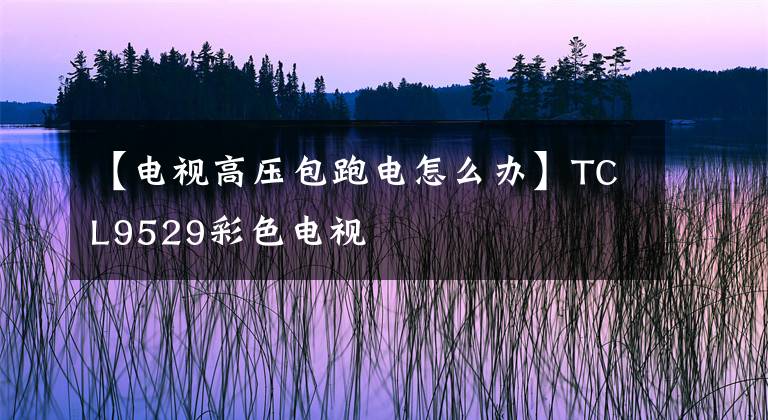 【電視高壓包跑電怎么辦】TCL9529彩色電視