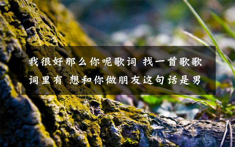 我很好那么你呢歌詞 找一首歌歌詞里有 想和你做朋友這句話是男的唱的 接下來就是女生唱 是一首男女對唱的歌 很好聽就聽到了這一句歌詞 不是吧