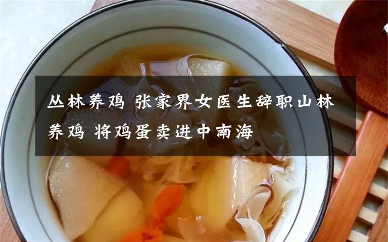 叢林養(yǎng)雞 張家界女醫(yī)生辭職山林養(yǎng)雞 將雞蛋賣進中南海