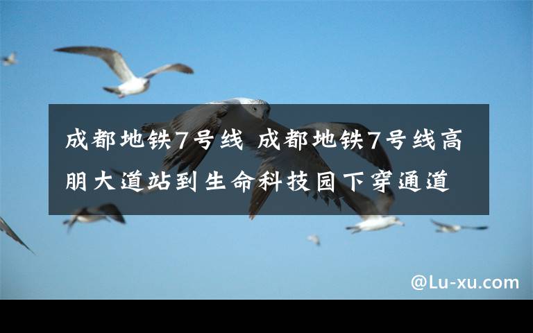 成都地鐵7號線 成都地鐵7號線高朋大道站到生命科技園下穿通道正式啟用
