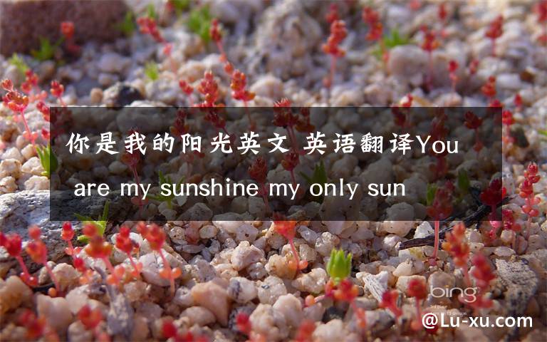 你是我的陽光英文 英語翻譯You are my sunshine my only sunshine You make me happy w