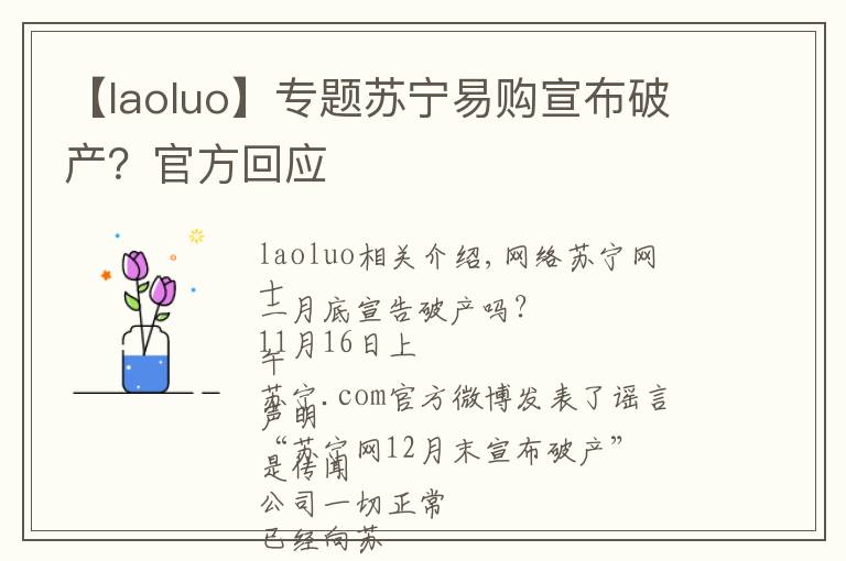 【laoluo】專(zhuān)題蘇寧易購(gòu)宣布破產(chǎn)？官方回應(yīng)