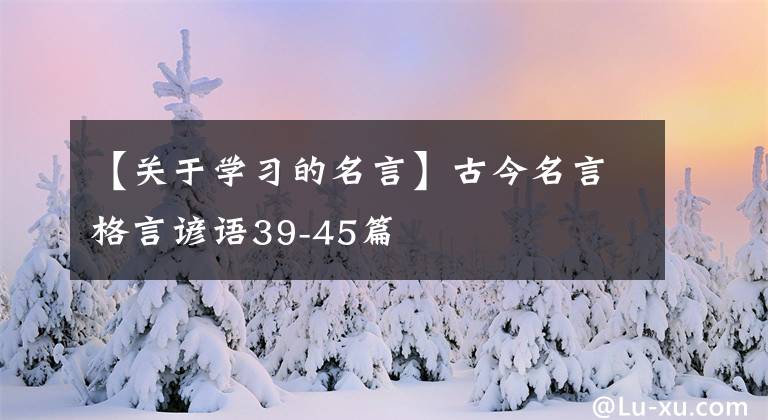 【關(guān)于學(xué)習(xí)的名言】古今名言格言諺語(yǔ)39-45篇