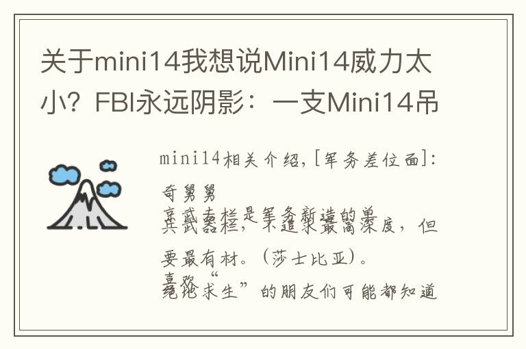 關(guān)于mini14我想說Mini14威力太?。縁BI永遠(yuǎn)陰影：一支Mini14吊打8名探員