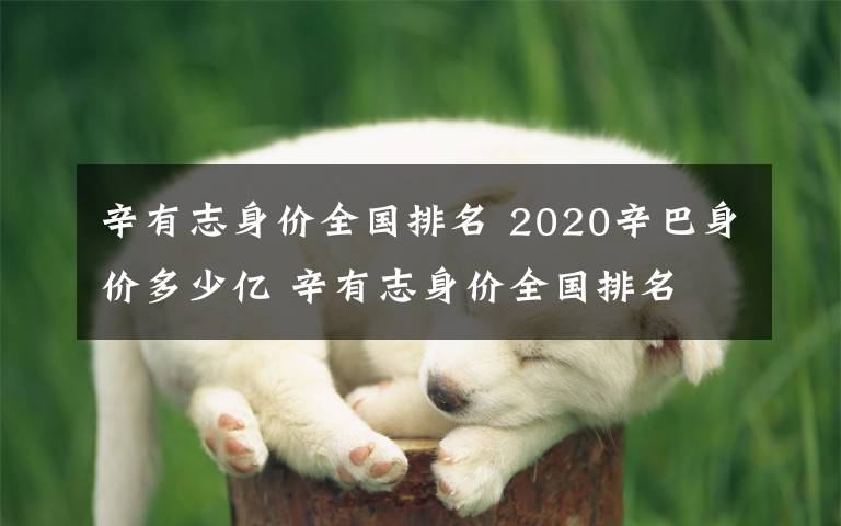 辛有志身價全國排名 2020辛巴身價多少億 辛有志身價全國排名