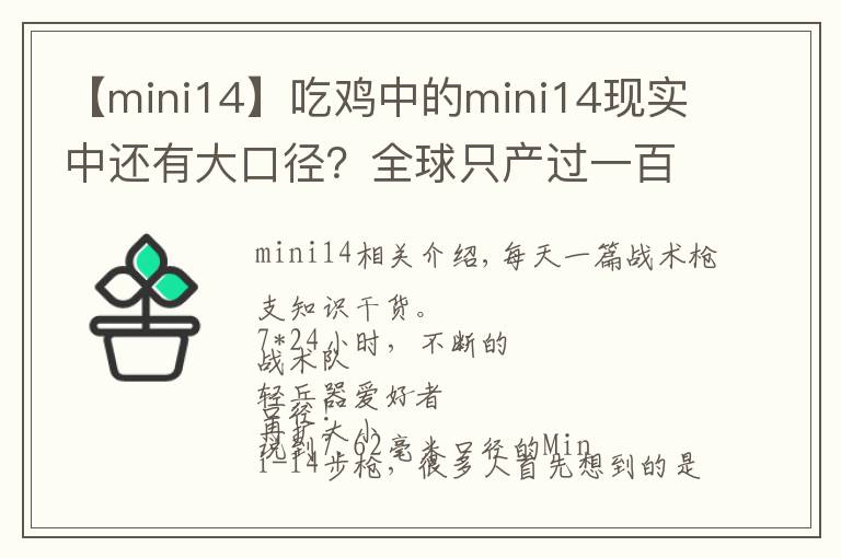 【mini14】吃雞中的mini14現(xiàn)實(shí)中還有大口徑？全球只產(chǎn)過一百支！