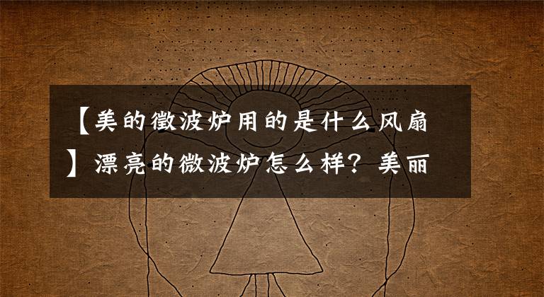 【美的徵波爐用的是什么風(fēng)扇】漂亮的微波爐怎么樣？美麗的微波爐特別介紹。