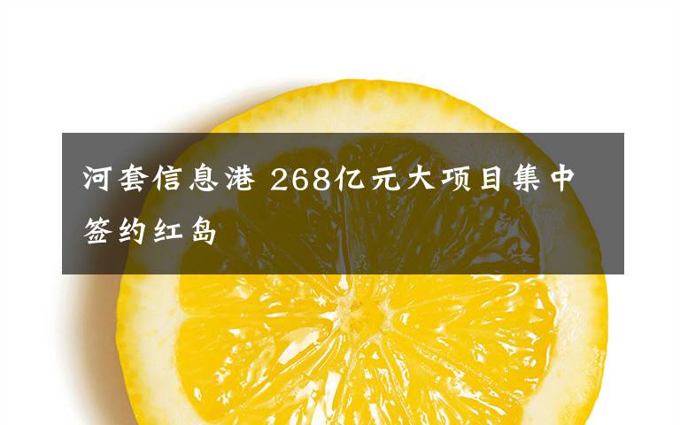 河套信息港 268億元大項目集中簽約紅島