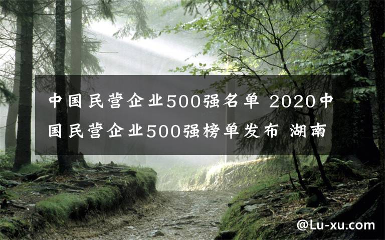 中國民營企業(yè)500強(qiáng)名單 2020中國民營企業(yè)500強(qiáng)榜單發(fā)布 湖南六家企業(yè)入圍