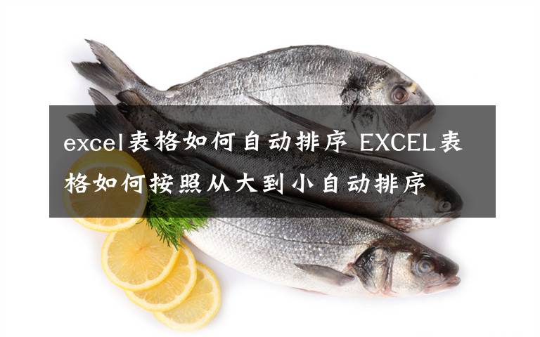 excel表格如何自動排序 EXCEL表格如何按照從大到小自動排序