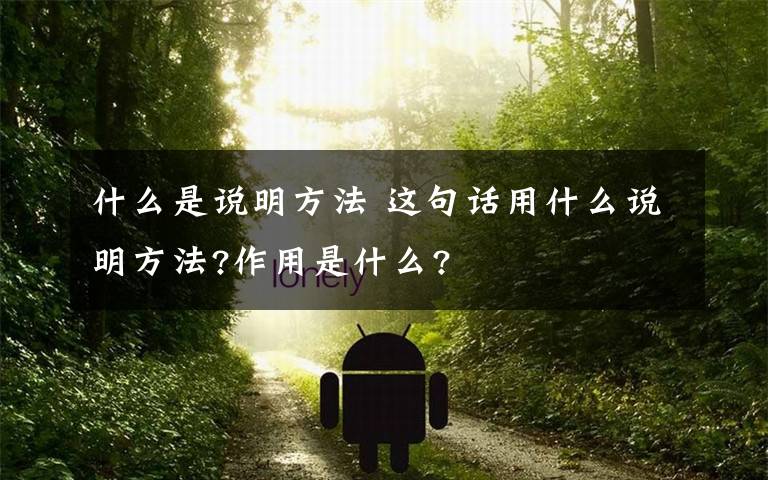 什么是說明方法 這句話用什么說明方法?作用是什么?