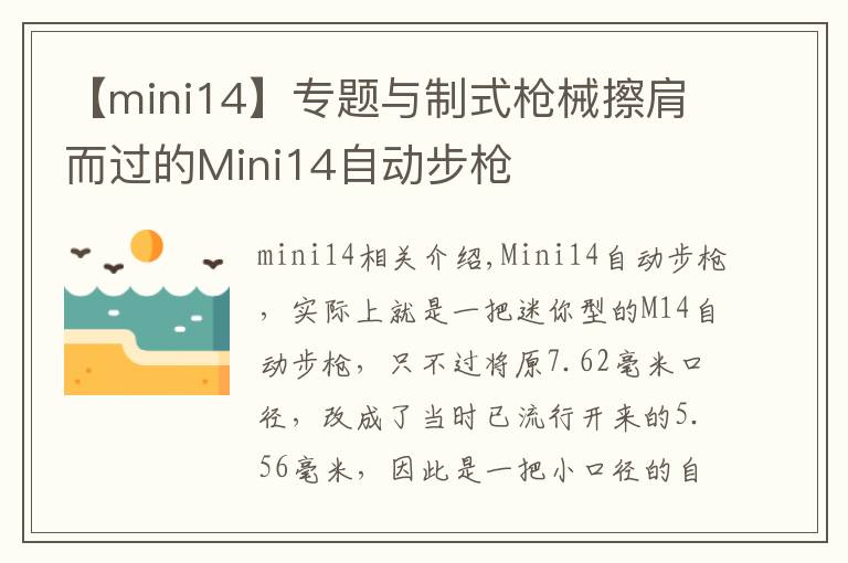 【mini14】專題與制式槍械擦肩而過(guò)的Mini14自動(dòng)步槍