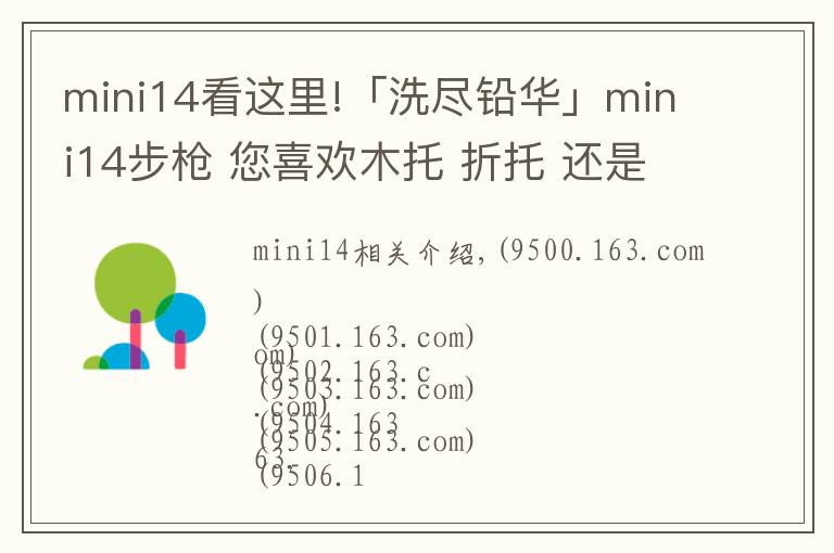 mini14看這里!「洗盡鉛華」mini14步槍 您喜歡木托 折托 還是改造版