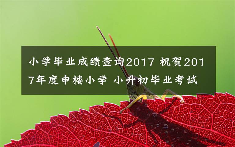 小學(xué)畢業(yè)成績查詢2017 祝賀2017年度申樓小學(xué) 小升初畢業(yè)考試中常曉雅等同學(xué)取得優(yōu)秀成績！