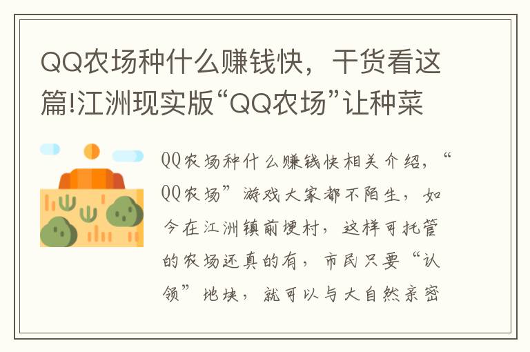 QQ農(nóng)場種什么賺錢快，干貨看這篇!江洲現(xiàn)實(shí)版“QQ農(nóng)場”讓種菜成為樂趣 ,想當(dāng)“都市農(nóng)夫” 不妨去看看!