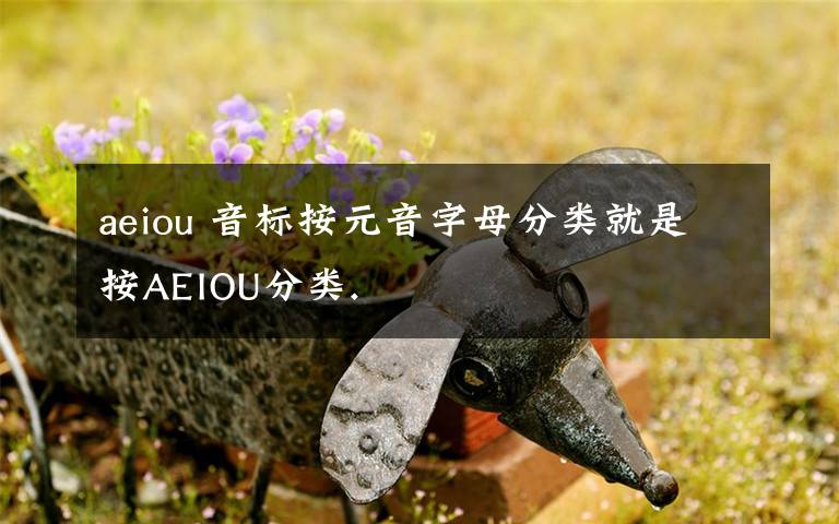 aeiou 音標(biāo)按元音字母分類就是按AEIOU分類.