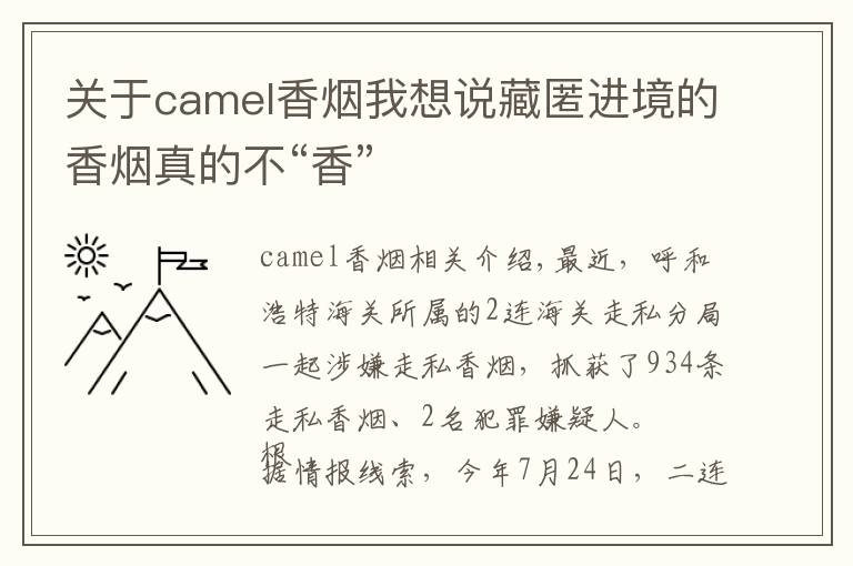 關(guān)于camel香煙我想說藏匿進境的香煙真的不“香”