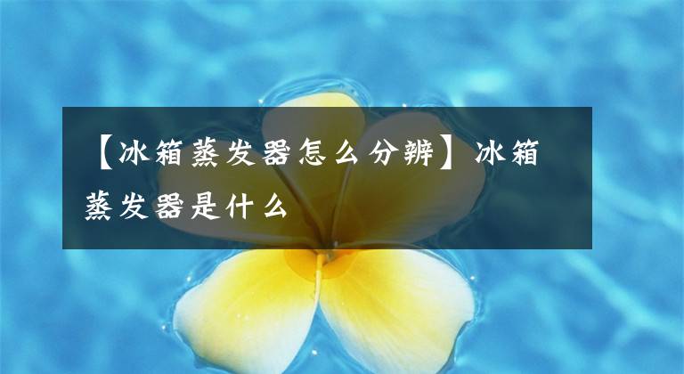 【冰箱蒸發(fā)器怎么分辨】冰箱蒸發(fā)器是什么