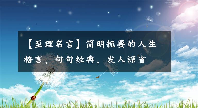 【至理名言】簡(jiǎn)明扼要的人生格言，句句經(jīng)典，發(fā)人深省