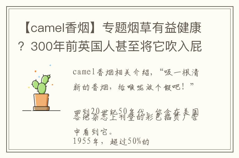 【camel香煙】專題煙草有益健康？300年前英國人甚至將它吹入屁股來做心肺復蘇