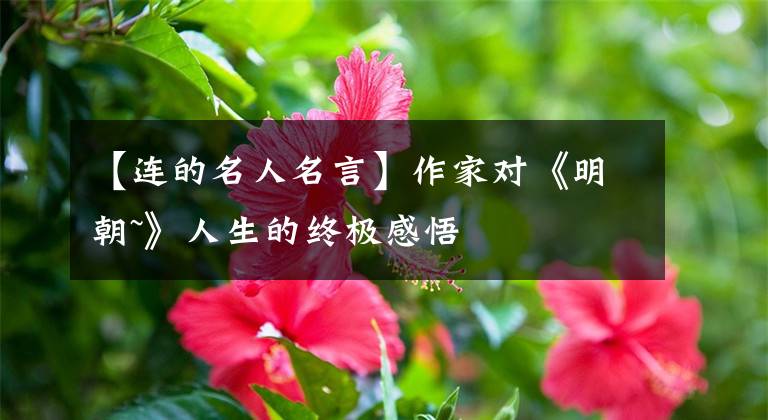 【連的名人名言】作家對《明朝~》人生的終極感悟