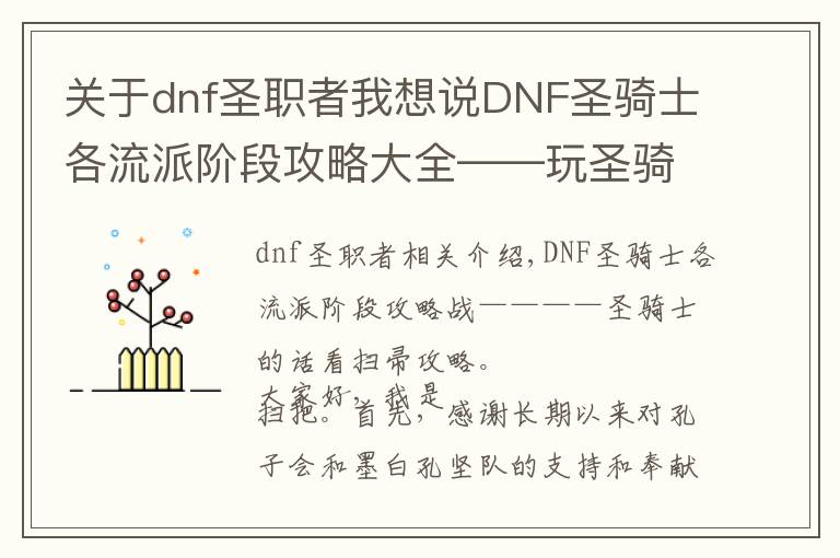 關(guān)于dnf圣職者我想說DNF圣騎士各流派階段攻略大全——玩圣騎士就看掃把攻略