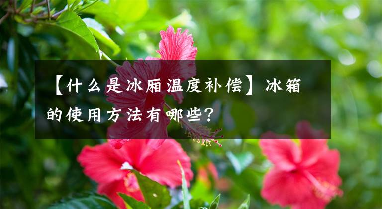 【什么是冰廂溫度補(bǔ)償】冰箱的使用方法有哪些？