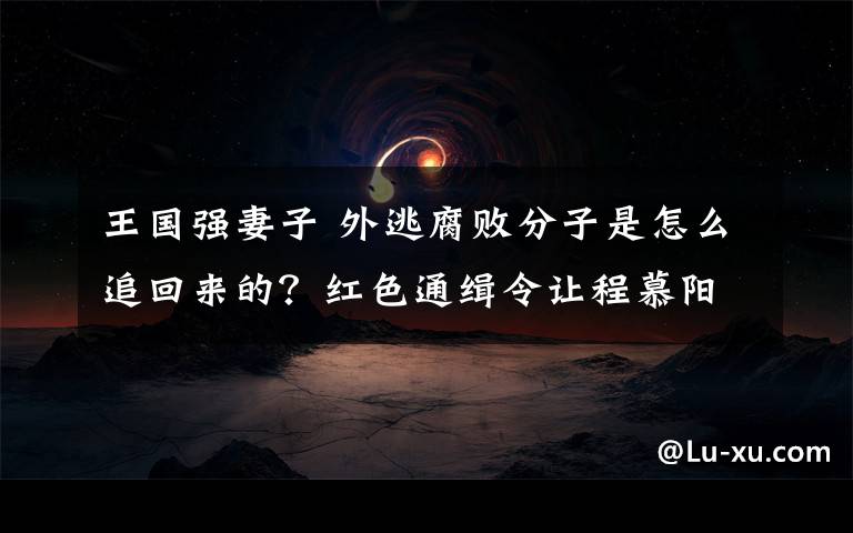 王國(guó)強(qiáng)妻子 外逃腐敗分子是怎么追回來(lái)的？紅色通緝令讓程慕陽(yáng)現(xiàn)原形