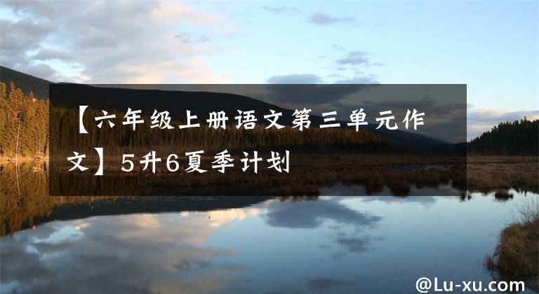 【六年級(jí)上冊(cè)語(yǔ)文第三單元作文】5升6夏季計(jì)劃