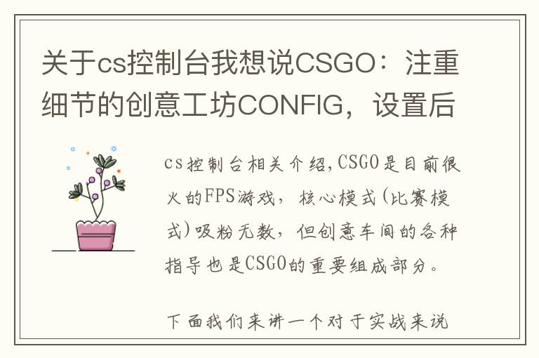 關(guān)于cs控制臺我想說CSGO：注重細(xì)節(jié)的創(chuàng)意工坊CONFIG，設(shè)置后會有更好的游戲體驗