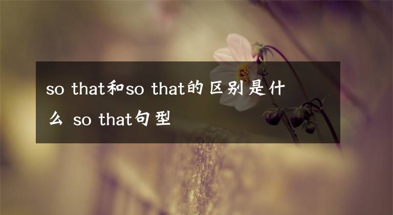 so that和so that的區(qū)別是什么 so that句型