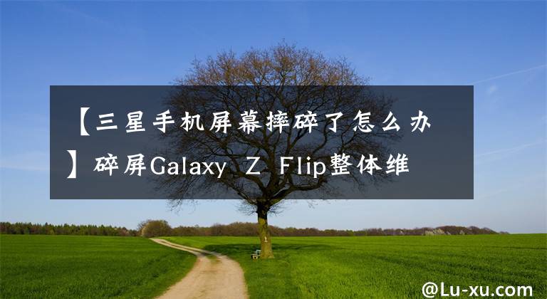 【三星手機(jī)屏幕摔碎了怎么辦】碎屏Galaxy  Z  Flip整體維護(hù)指南：費(fèi)用約為5128元