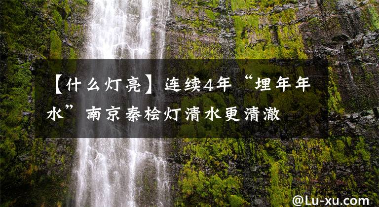 【什么燈亮】連續(xù)4年“埋年年水”南京秦檜燈清水更清澈