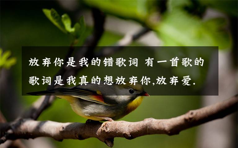 放棄你是我的錯歌詞 有一首歌的歌詞是我真的想放棄你,放棄愛.我是真的真的真的真的真的很在