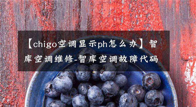 【chigo空調(diào)顯示ph怎么辦】智庫空調(diào)維修-智庫空調(diào)故障代碼大全-空調(diào)修理工專用