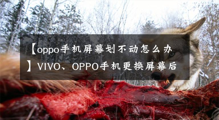 【oppo手機(jī)屏幕劃不動(dòng)怎么辦】VIVO、OPPO手機(jī)更換屏幕后容易出故障的維修！