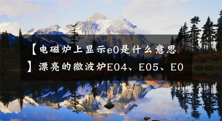 【電磁爐上顯示e0是什么意思】漂亮的微波爐E04、E05、E06故障代碼維修詳細(xì)信息