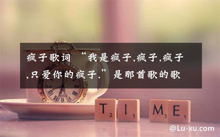 瘋子歌詞 “我是瘋子,瘋子,瘋子,只愛(ài)你的瘋子.”是那首歌的歌詞?