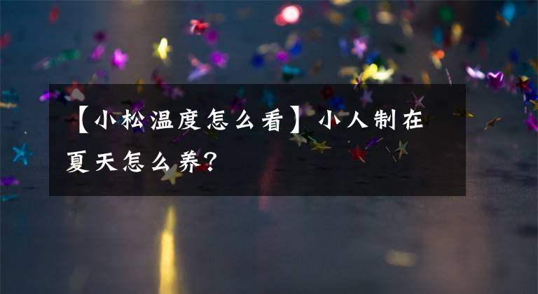 【小松溫度怎么看】小人制在夏天怎么養(yǎng)？