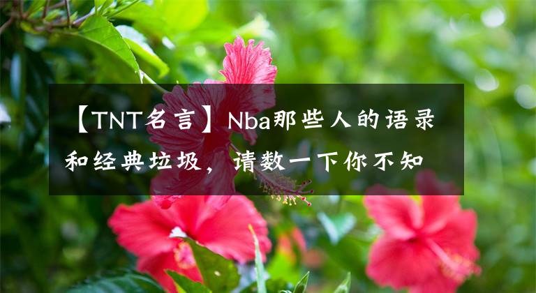 【TNT名言】Nba那些人的語錄和經(jīng)典垃圾，請數(shù)一下你不知道的NBA往事。