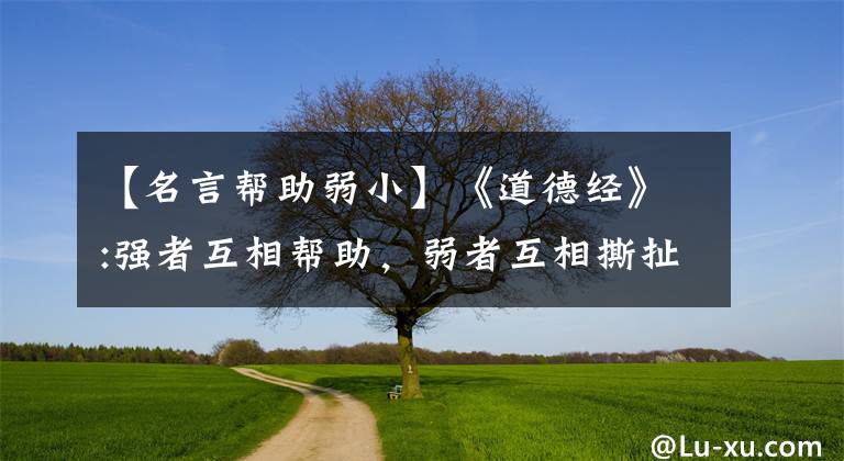 【名言幫助弱小】《道德經(jīng)》:強(qiáng)者互相幫助，弱者互相撕扯